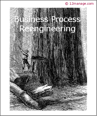 비즈니스 프로세스 리엔지니어링 (사업재구축, BPR,  Business Process Reengineering)